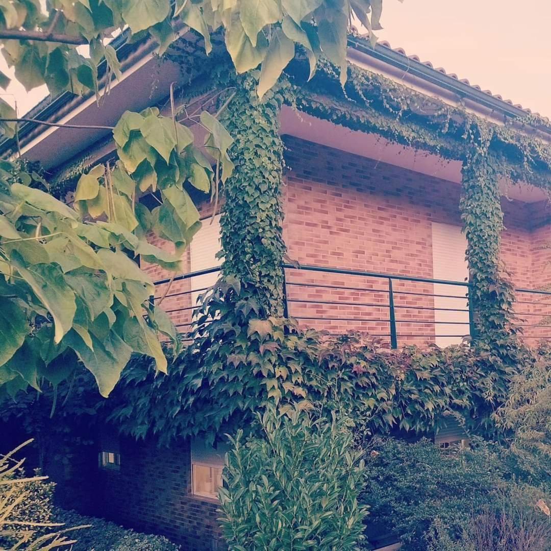 Casa Campo Ao Rio_Village Barcelos Extérieur photo
